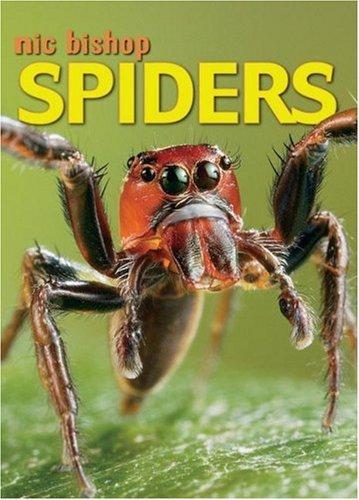 Nic Bishop Spiders