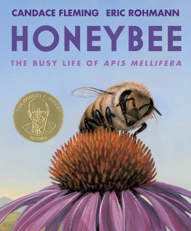 Honeybee: The Busy Life of Apis Mellifera