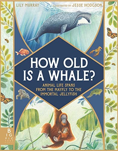How Old Is a Whale? Animal Life Spans From the Mayfly to the Immortal Jellyfish