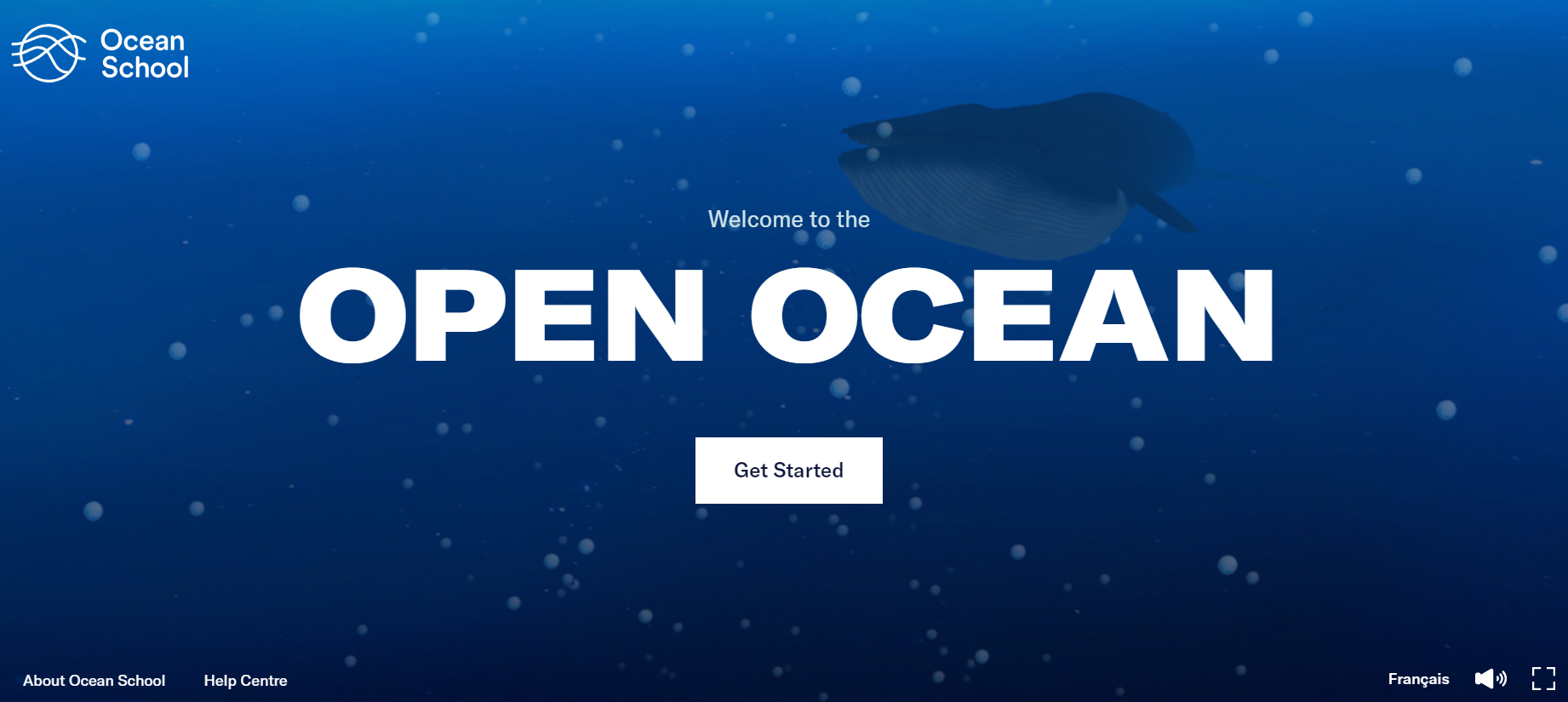 Open Ocean: Marine Migration